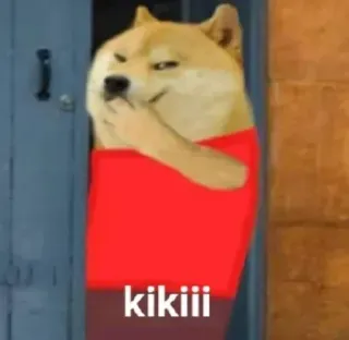 🤭 kikiii chien, mème, drôle, doge telegram sticker