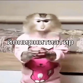 🐵 йøпирнитиатир mono, palabrota, ofensivo, gracioso whatsapp sticker