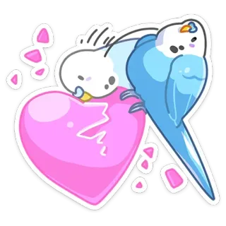 ❤️ pájaro, periquito, corazón, amor, lindo, mascota, animal whatsapp sticker