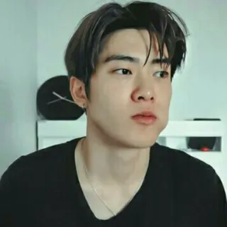 🦥 whatsapp sticker