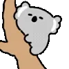 🐨