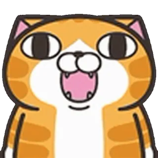 🐱