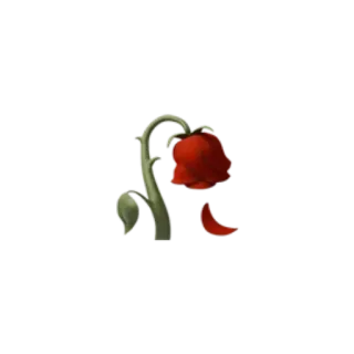 🥀 rose, flower, sad, wilted, broken, petal telegram sticker