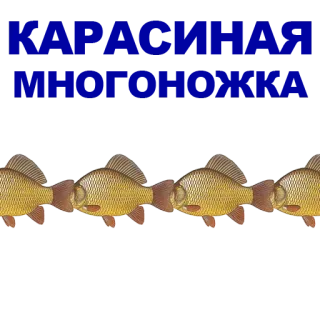 🐠 poisson, carpe, poisson rouge, animal whatsapp sticker