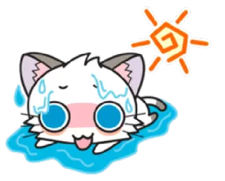 🐱 gato, suando, exausto, fofo, sol, anime whatsapp sticker