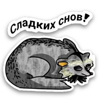 😴 сладких снов! procione, dormire, sogni d'oro, animale, carino, adesivo telegram sticker