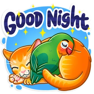 😴 Good Night 잘자, 고양이, 새, 귀여운, 졸린, 만화 telegram sticker