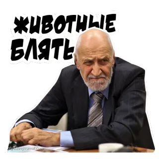 😷 ЖИВОТНЫЕ БЛЯТЬ ofensivo, palavrões, russo, homem, rosto, xingamentos telegram sticker