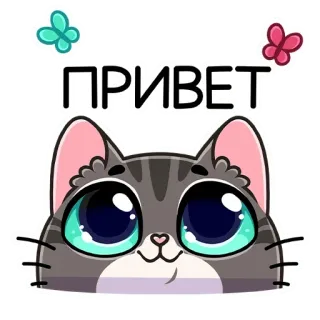 👋 ПРИВЕТ chat, salutation, bonjour, mignon, animal whatsapp sticker