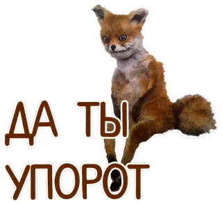 😜 ДА ТЫ УПОРОТ renard, drôle, animal, mème, russe telegram sticker