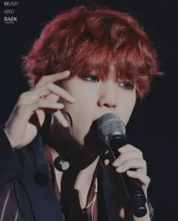 ✨ HEART
AND
BAEK kpop, singer, baekhyun, exo, music, idol telegram sticker