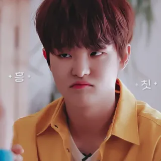 🐼 응 칫 whatsapp sticker