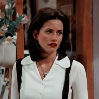 🐚 Monica Geller Friends femme, actrice, série télé, brune, Monica, Courteney Cox telegram sticker