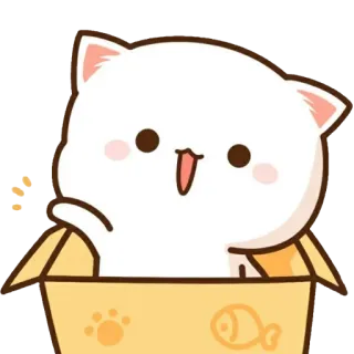 👋 cat, kitten, cute, box, kawaii, animal, pet whatsapp sticker