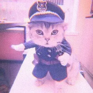 🍣 gatto, gattino, polizia, agente, carino, animale, costume telegram sticker