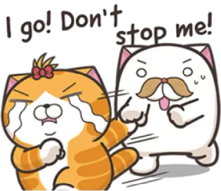 💤 I go! Don't stop me! Katze, Cartoon, lustig, animiert, Meme, Tier, süß, skurril telegram sticker