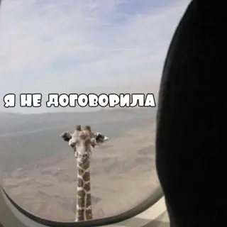 🦒 Я НЕ ДОГОВОРИЛА жираф, окно, самолет, путешествия, смешной telegram sticker