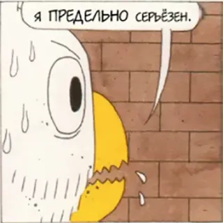 😐 Я ПРЕДЕЛЬНО СЕРЬЁЗЕН. burung, kartun, berkeringat, serius, dinding, rusia whatsapp sticker