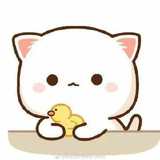 🍓 kucing, imut, stiker, kawaii, kartun, hewan, anak ayam whatsapp sticker
