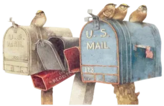 📬 U.S. MAIL cassette postali, uccelli, posta USA, lettere, servizio postale, bandiera americana whatsapp sticker