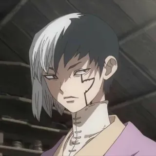 💖 Asagiri Gen Dr. Stone Anime, Dr. Stone, Asagiri Gen, Personnage, Cheveux blancs, Cheveux noirs, Cicatrice telegram sticker