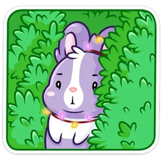 😳 conejo, animal, dibujos animados, lindo, arbusto, luces telegram sticker
