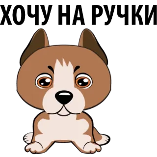 😍 ХОЧУ НА РУЧКИ hond, schattig, puppy, cartoon, willen, schattig whatsapp sticker