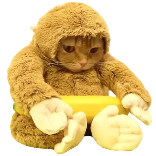 😔 cat, monkey, costume, animal, cute, funny, pet telegram sticker