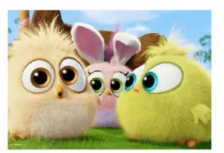 😯 Angry Birds, kuiken, cartoon, dier whatsapp sticker