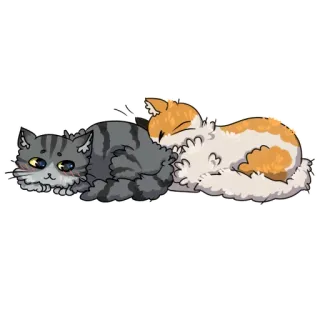 ❤ mèo, mèo con, động vật, thú cưng, dễ thương, ngủ telegram sticker