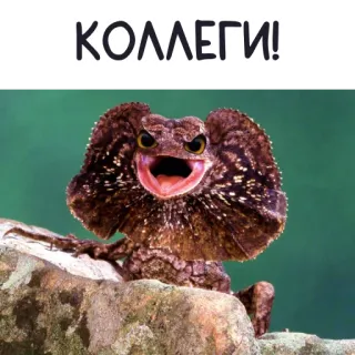 yasheritsa_katya @rabtsun telegram stickers