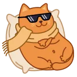 😎 cat, chill, cool, sunglasses, scarf, relaxed, pet, animal whatsapp sticker