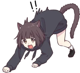 😾 аниме, девушка-кошка, удивлённый, мультфильм, милый, манга telegram sticker