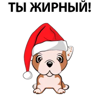 🧐 ТЫ ЖИРНЫЙ! dog, Santa hat, Christmas, winter, puppy telegram sticker