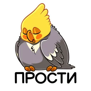 🥺 ПРОСТИ pássaro, calopsita, fofo, desculpa, desculpe telegram sticker
