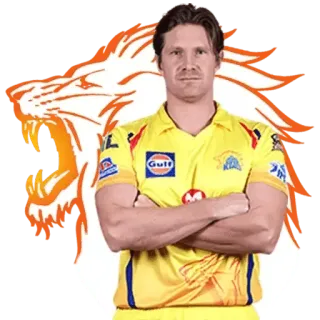 🤩 Kricket, Sport, Chennai Super Kings, Indischer Cricketspieler whatsapp sticker