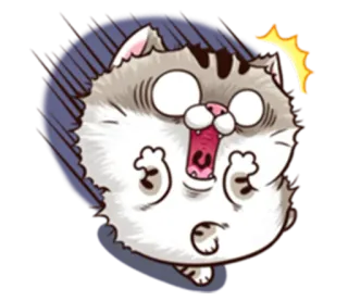 😱 Katze, geschockt, süß, Cartoon, Tier, Sticker whatsapp sticker