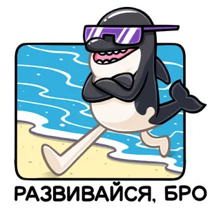 😎 РАЗВИВАЙСЯ, БРО 범고래, 돌고래, 선글라스, 해변, 만화, 바다 telegram sticker