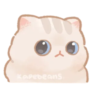 👀 kapebeans gato, lindo, animal, pegatina, kawaii, mascota whatsapp sticker