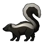 🦨