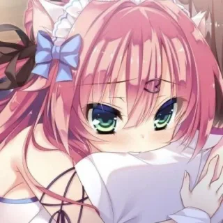 😍 Ragazza anime, Kawaii, Carino, Capelli rosa, Femmina, Orecchie da gatto telegram sticker