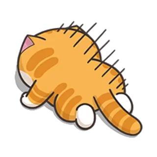 🐵 고양이, 새끼 고양이, 동물, 주황 고양이, 귀여운, 애완동물, 고양이과, 반려동물 telegram sticker