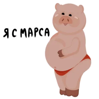 Mr.Pigus telegram stickers