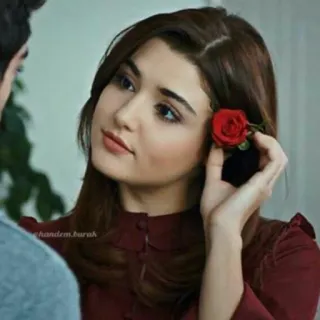 🙂 mulher, retrato, beleza, rosa, flor, cabelo telegram sticker