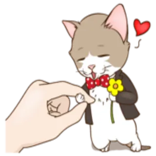 😍 kucing, bunga, cinta, imut, romantis, formal telegram sticker