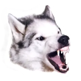 Dogs by @dognfox telegram stickers