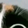 😂