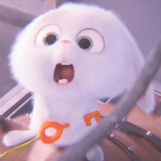🐰 Snowball The Secret Life of Pets conejo, conejito, animal, dibujos animados, lindo telegram sticker