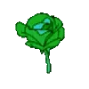 💚