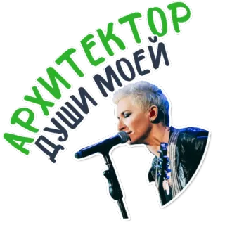 ❤ АРХИТЕКТОР ДУШИ МОЕЙ музыка, певец, микрофон, выступление, артист, русский, текст telegram sticker
